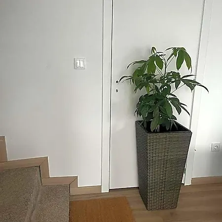 Hotel Friend's House *